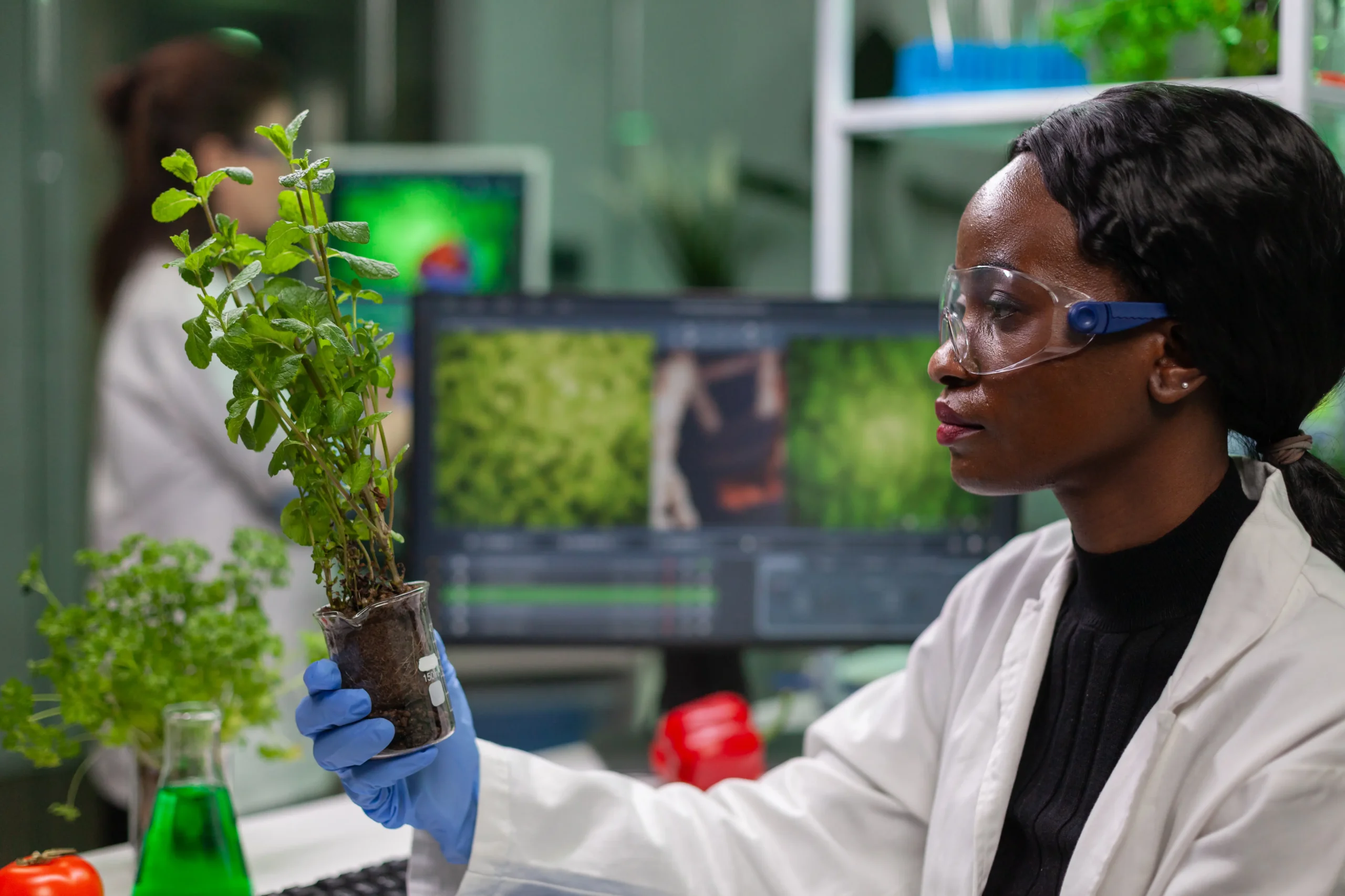 scientist-looking-green-sapling-medical-experiment